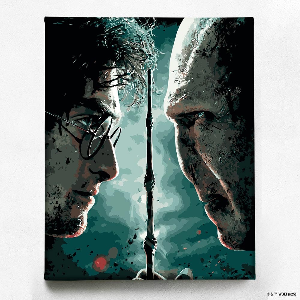 Animal Jigsaw Puzzle > Wooden Jigsaw Puzzle > Jigsaw Puzzle 40x50cm Harry vs Voldemort - Paint By Numbers Kits