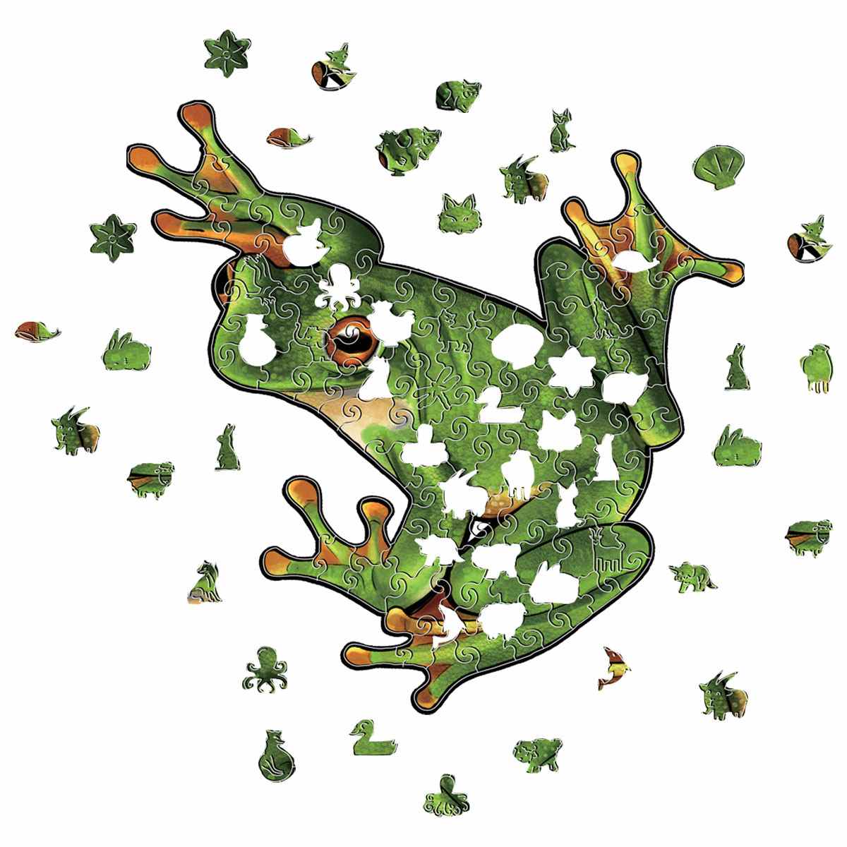 Grenouille - Puzzle