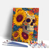 Painting By Numbers Kits 15.7