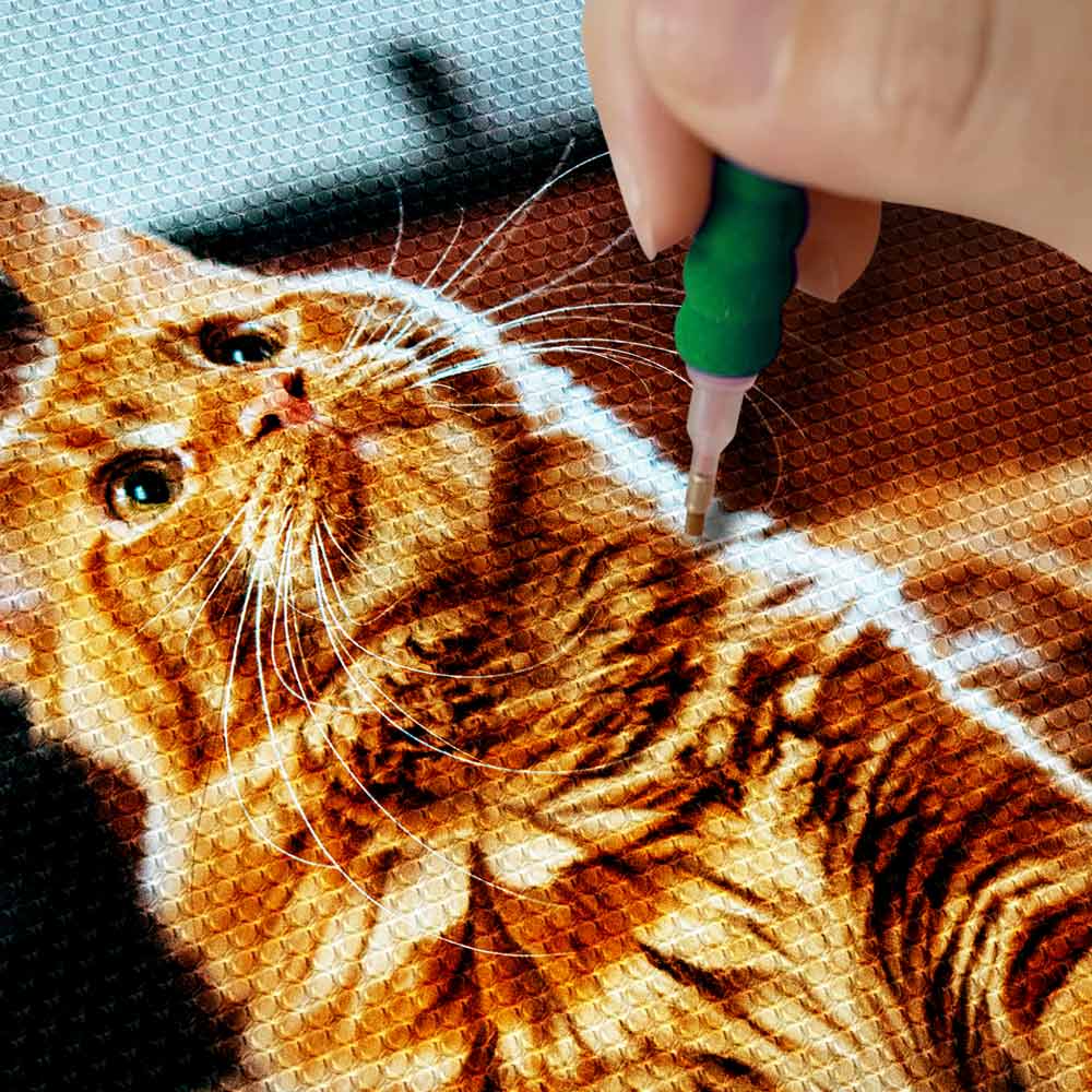 Diamond Painting Kits 15.7" x 19.6" (40 x 50cm) Custom Diamond Painting Kit