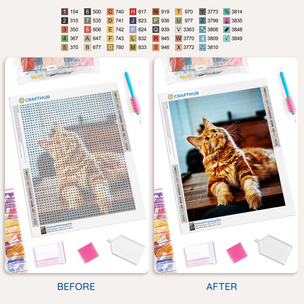 Diamond Painting Kits 15.7" x 19.6" (40 x 50cm) Custom Diamond Painting Kit