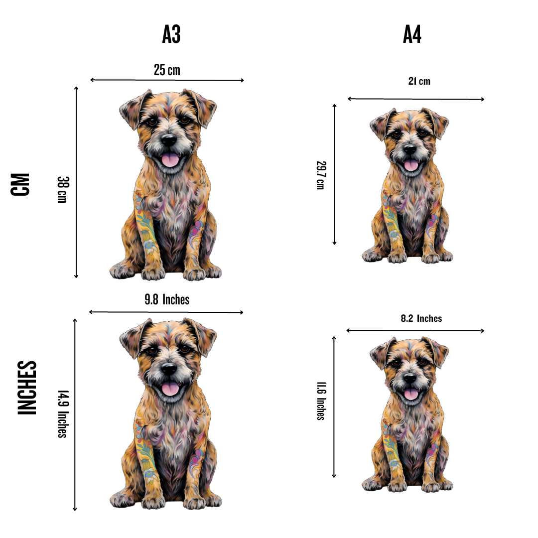 Border Terrier - Puzzle