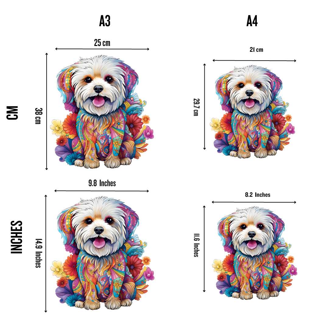 Bichon Maltais - Puzzle