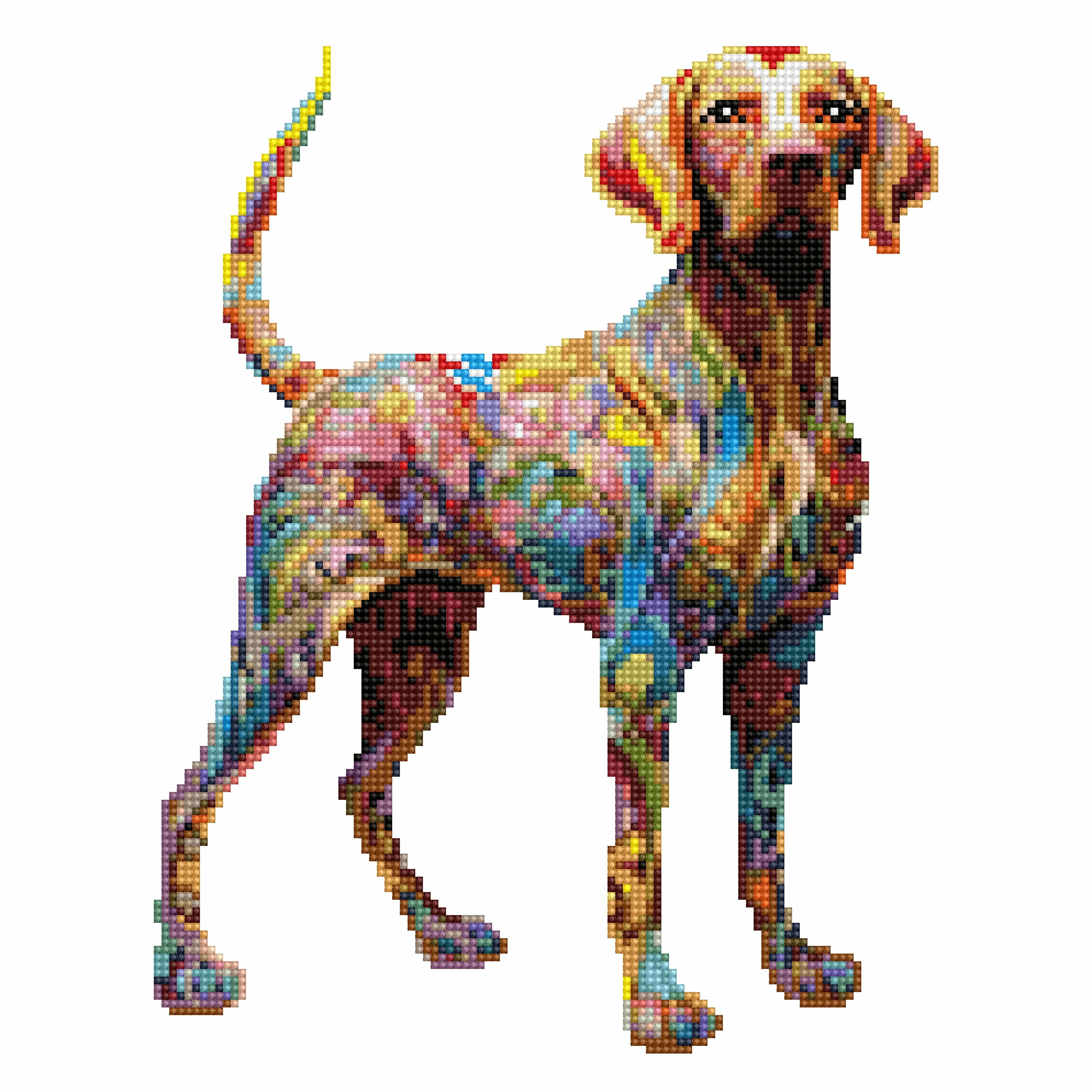 40x40cm Vizsla Dog - Diamond Painting Kit