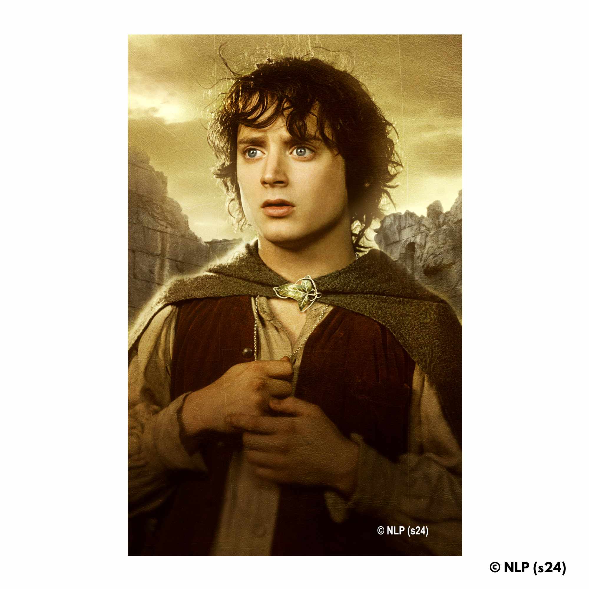 Animal Jigsaw Puzzle > Wooden Jigsaw Puzzle > Jigsaw Puzzle Frodo Baggins - Wooden Jigsaw Puzzle