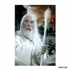 Animal Jigsaw Puzzle > Wooden Jigsaw Puzzle > Jigsaw Puzzle Gandalf's Guardianship - Wooden Jigsaw Puzzle